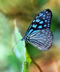 Similar image 12349996