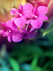 Similar image 12350004