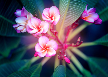 Similar image 12350005