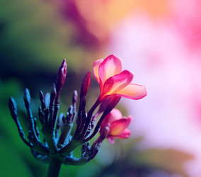 Similar image 12350006