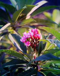 Similar image 12350007