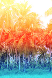 Similar image 12350009