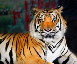 Similar image 12350010