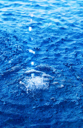 Similar image 12350025