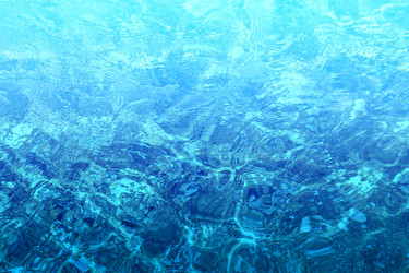 Similar image 12350028