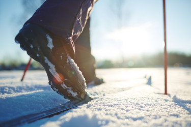 Similar image 12344526