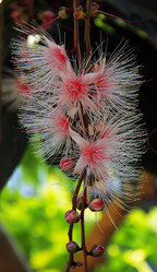 Similar image 12250778