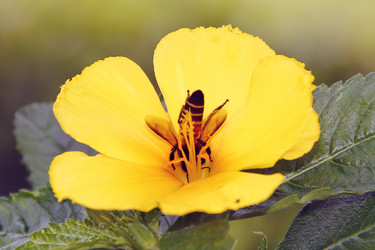 Similar image 12250780