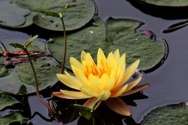 Similar image 12250781