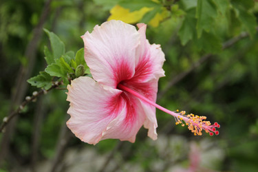 Similar image 12250782