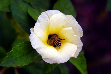 Similar image 12250783