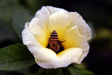 Similar image 12250784