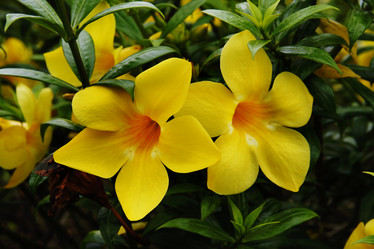 Similar image 12250785