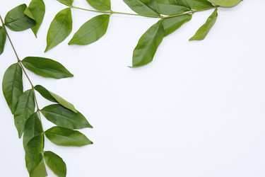 Similar image 12250786