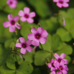 Similar image 12250787