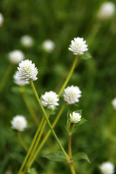 Similar image 12250788