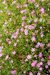 Similar image 12250677