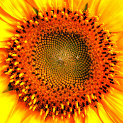 Similar image 12250678