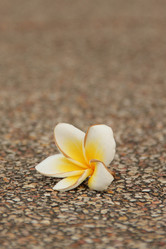 Similar image 12250679