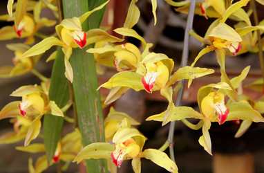 Similar image 12250680