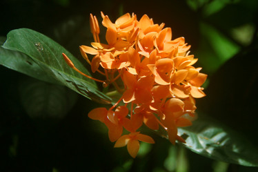 Similar image 12250696