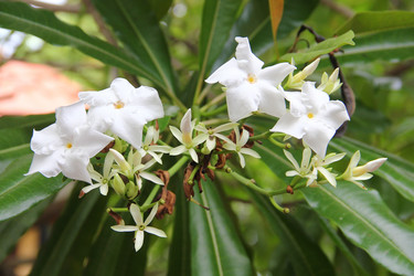 Similar image 12343702