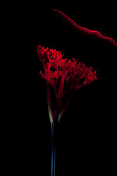 Similar image 12225757