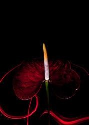 Similar image 12225780