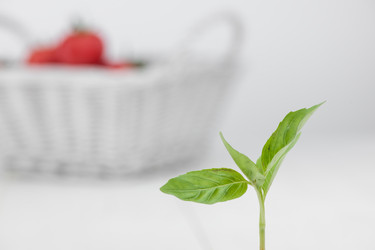 Similar image 12225845