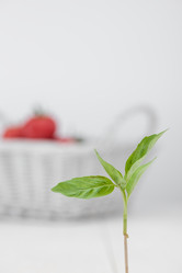 Similar image 12225846