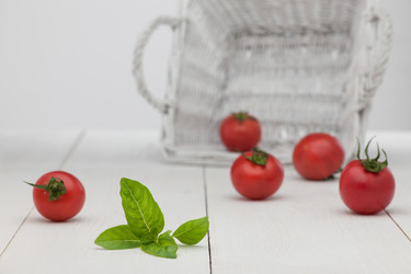 Similar image 12225865