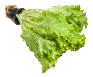 Similar image 12253273