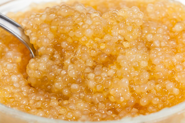 Similar image 12253318