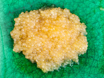 Similar image 12253322