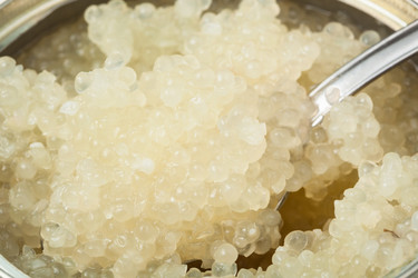 Similar image 12253332