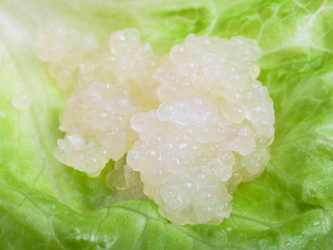 Similar image 12253337