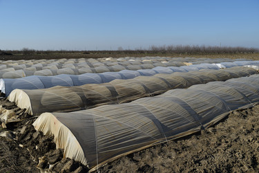 Similar image 12252920