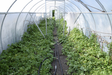 Similar image 12253952