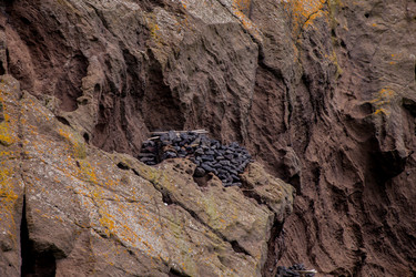 Similar image 12223382