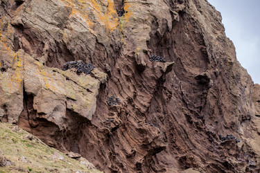 Similar image 12223385