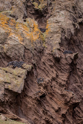 Similar image 12223386