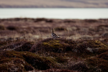 Similar image 12223390