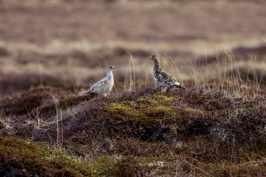 Similar image 12223392