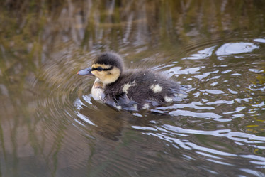 Similar image 12223393