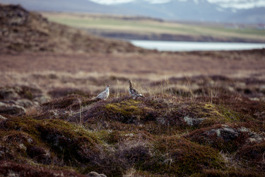 Similar image 12223395