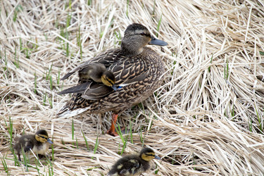 Similar image 12223397