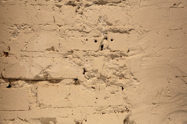 Similar image 12348511