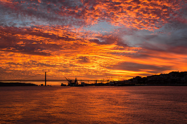 Similar image 12348613