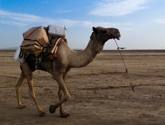 Similar image 12250585