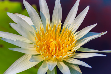 Similar image 12250251